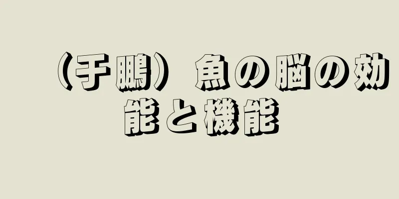 （于鵬）魚の脳の効能と機能