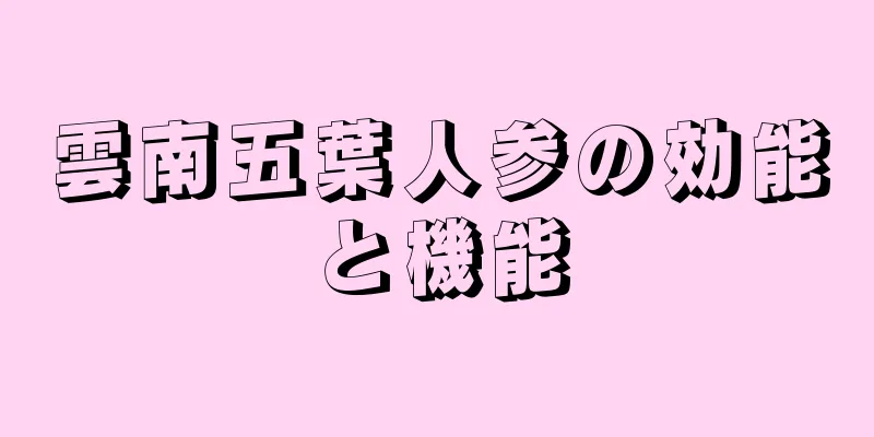 雲南五葉人参の効能と機能