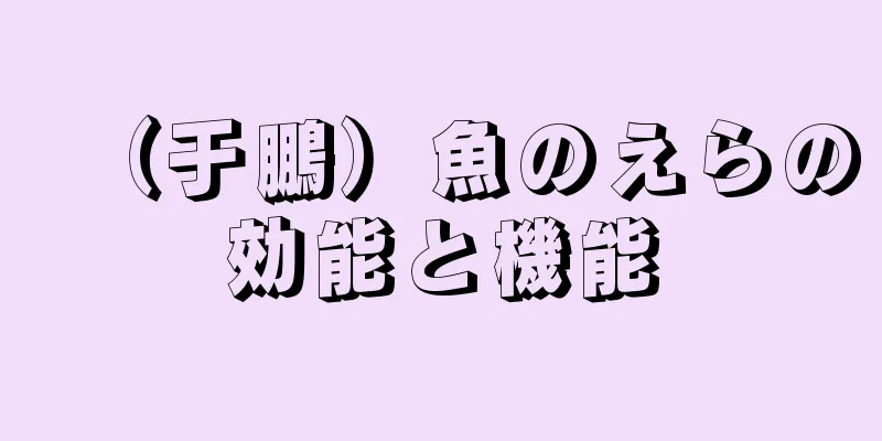 （于鵬）魚のえらの効能と機能