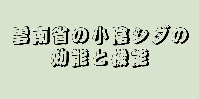 雲南省の小陰シダの効能と機能