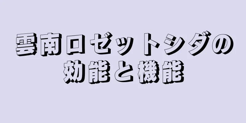 雲南ロゼットシダの効能と機能