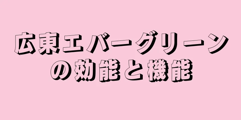 広東エバーグリーンの効能と機能