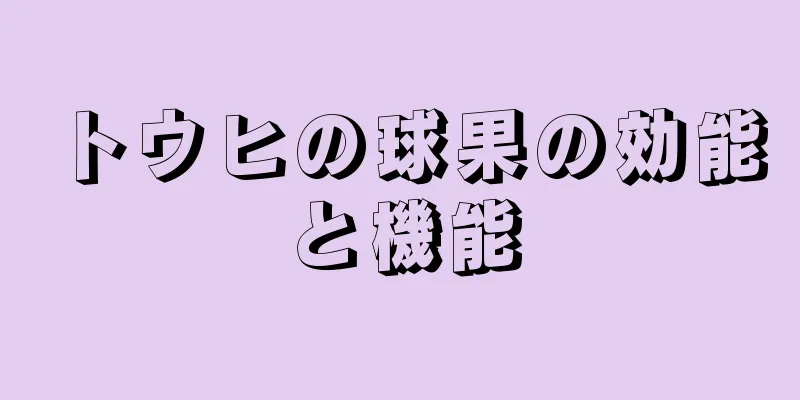 トウヒの球果の効能と機能