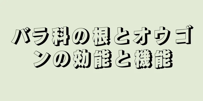 バラ科の根とオウゴンの効能と機能