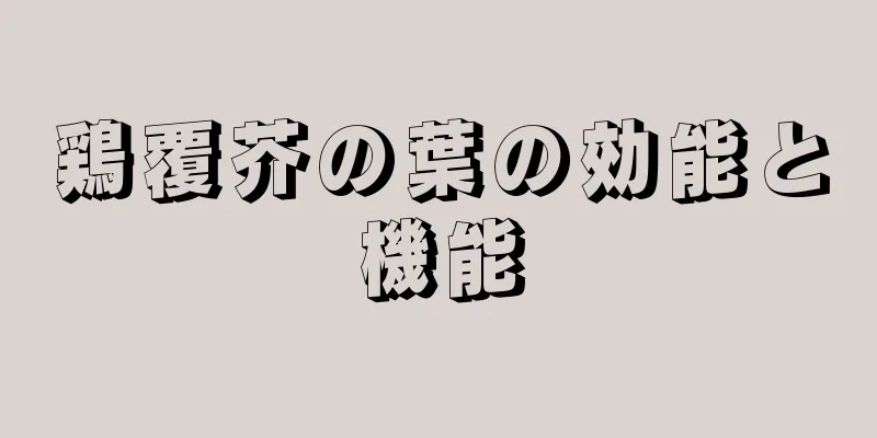 鶏覆芥の葉の効能と機能