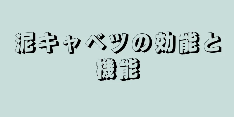 泥キャベツの効能と機能