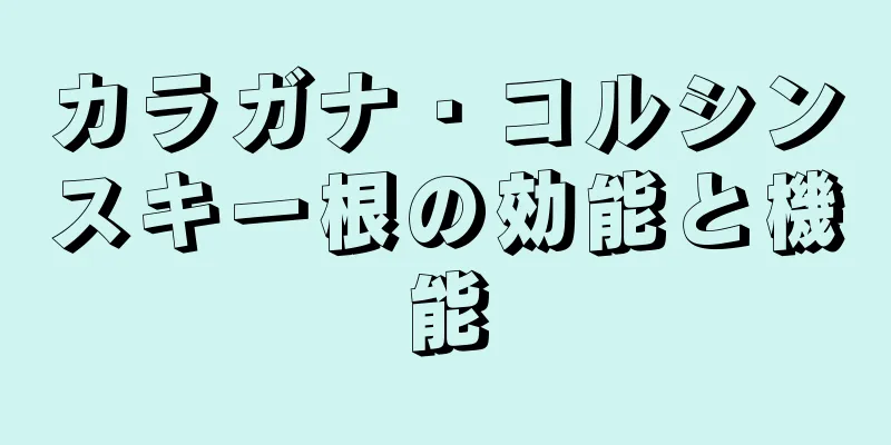 カラガナ・コルシンスキー根の効能と機能