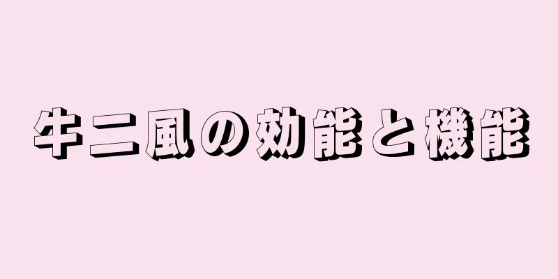 牛二風の効能と機能