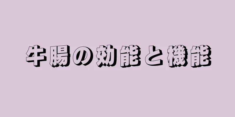 牛腸の効能と機能