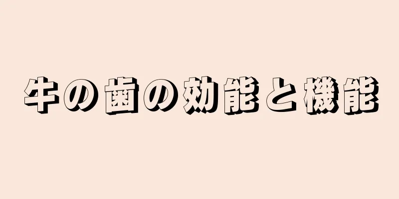 牛の歯の効能と機能