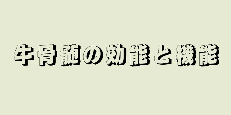 牛骨髄の効能と機能