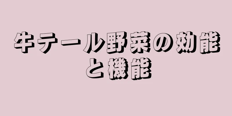 牛テール野菜の効能と機能