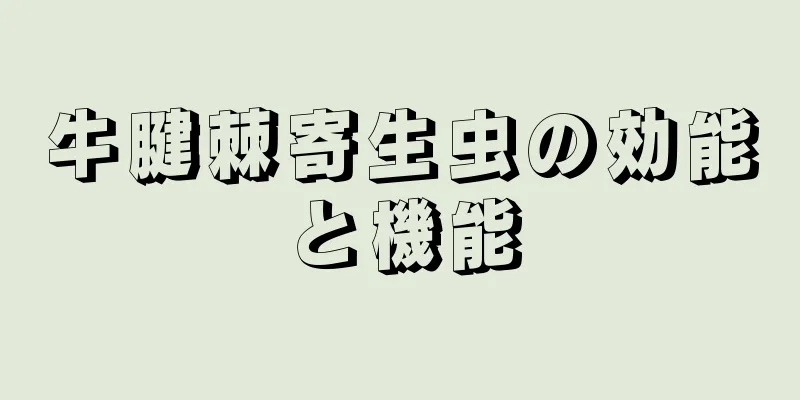 牛腱棘寄生虫の効能と機能