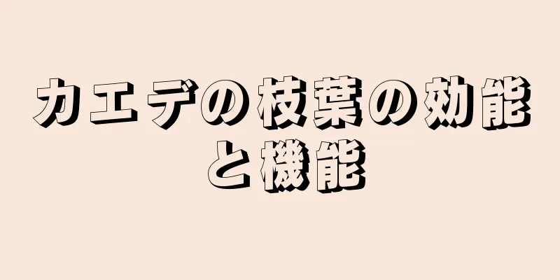 カエデの枝葉の効能と機能