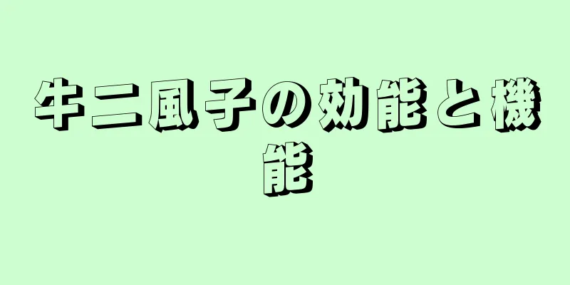 牛二風子の効能と機能