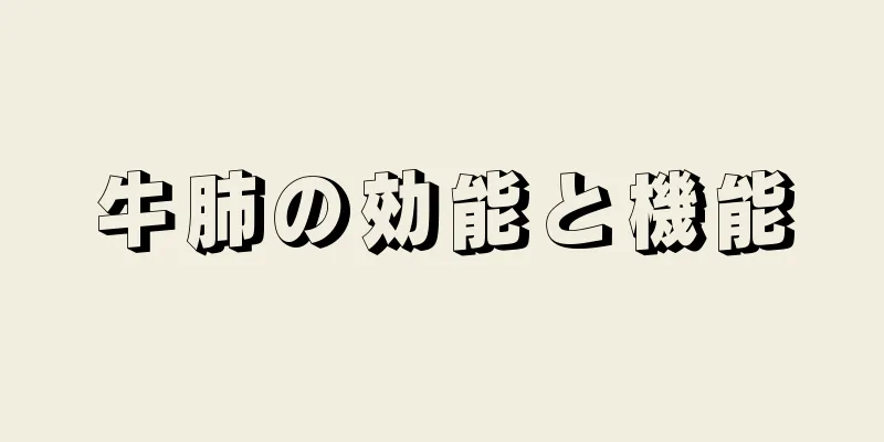牛肺の効能と機能