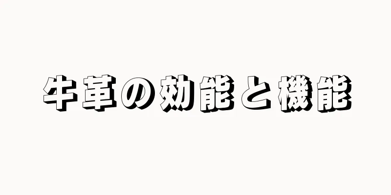 牛革の効能と機能