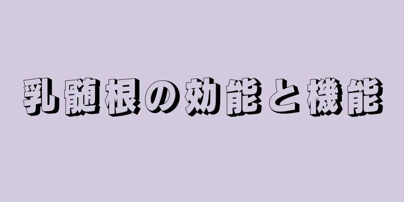 乳髄根の効能と機能