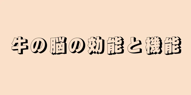 牛の脳の効能と機能