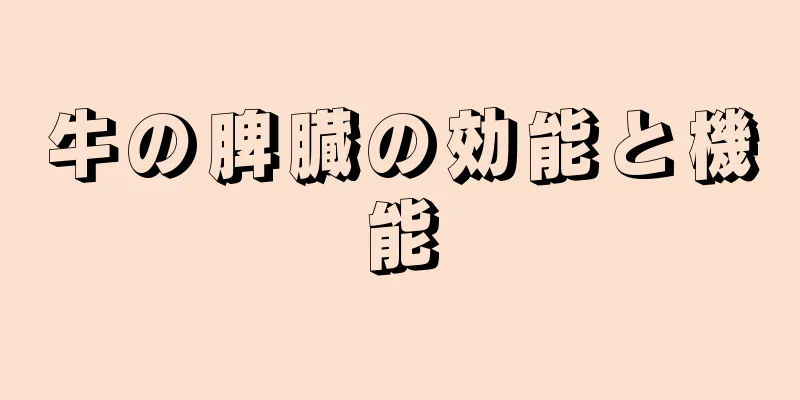 牛の脾臓の効能と機能