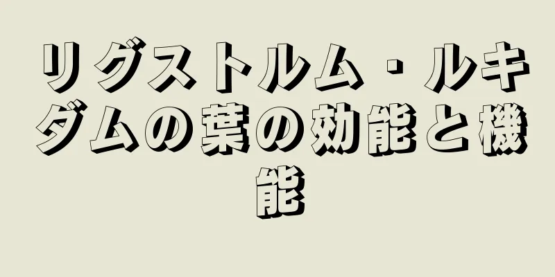 リグストルム・ルキダムの葉の効能と機能