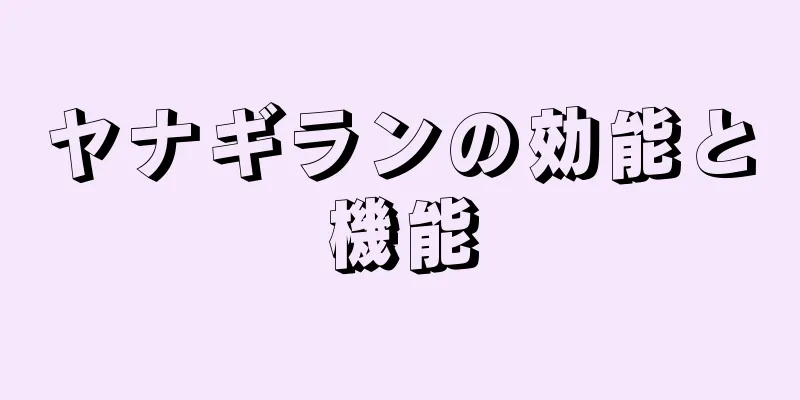 ヤナギランの効能と機能