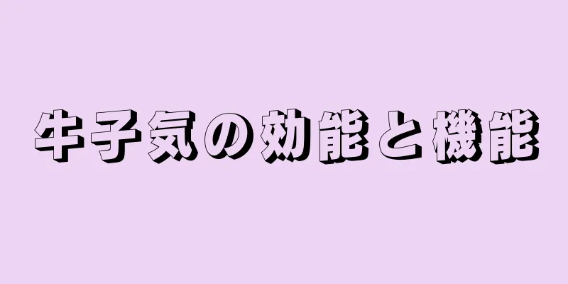 牛子気の効能と機能