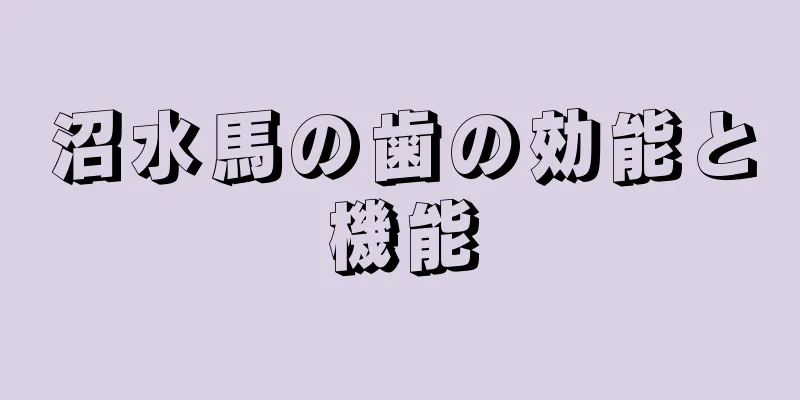 沼水馬の歯の効能と機能