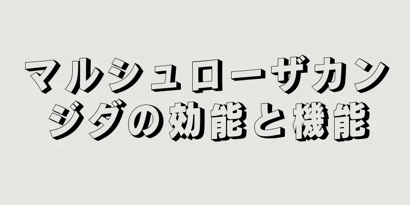 マルシュローザカンジダの効能と機能