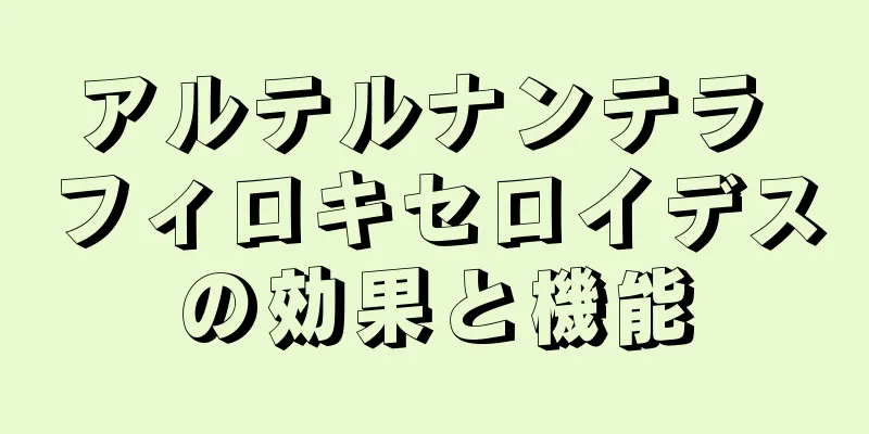 アルテルナンテラ フィロキセロイデスの効果と機能