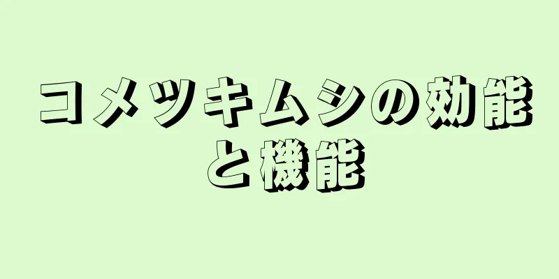 コメツキムシの効能と機能