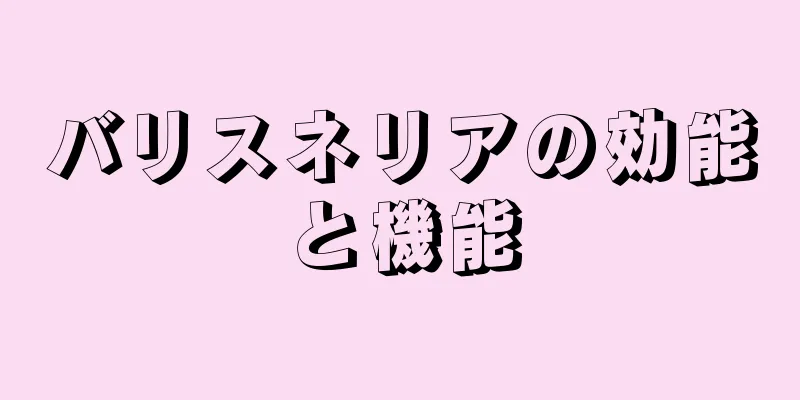 バリスネリアの効能と機能