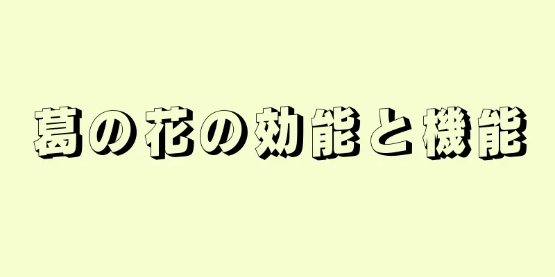 葛の花の効能と機能