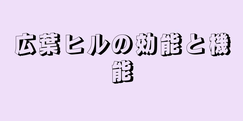 広葉ヒルの効能と機能