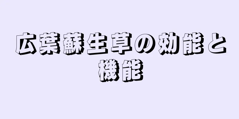 広葉蘇生草の効能と機能