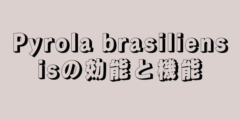 Pyrola brasiliensisの効能と機能