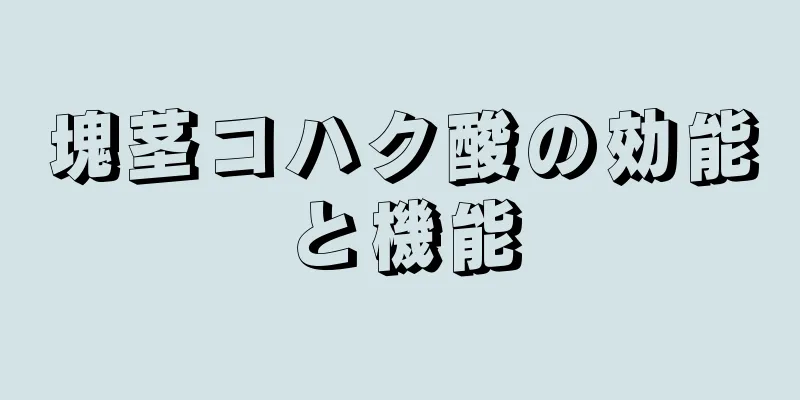 塊茎コハク酸の効能と機能