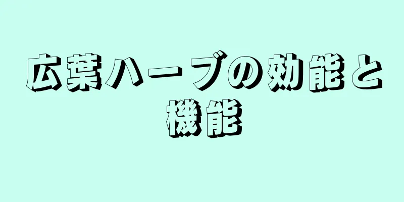 広葉ハーブの効能と機能