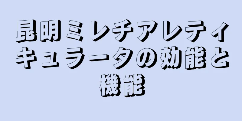 昆明ミレチアレティキュラータの効能と機能