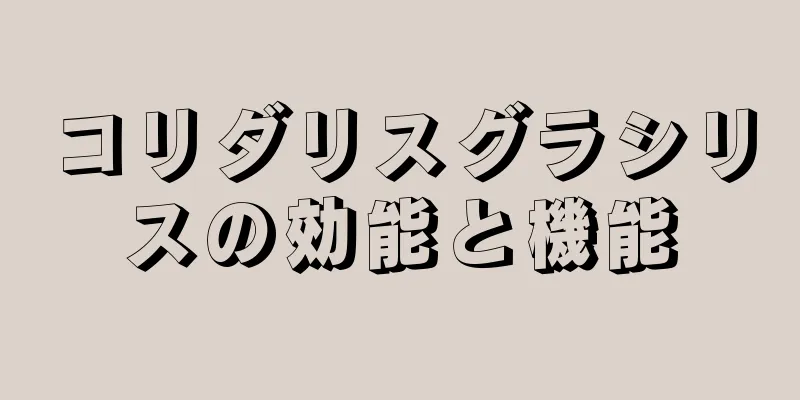 コリダリスグラシリスの効能と機能