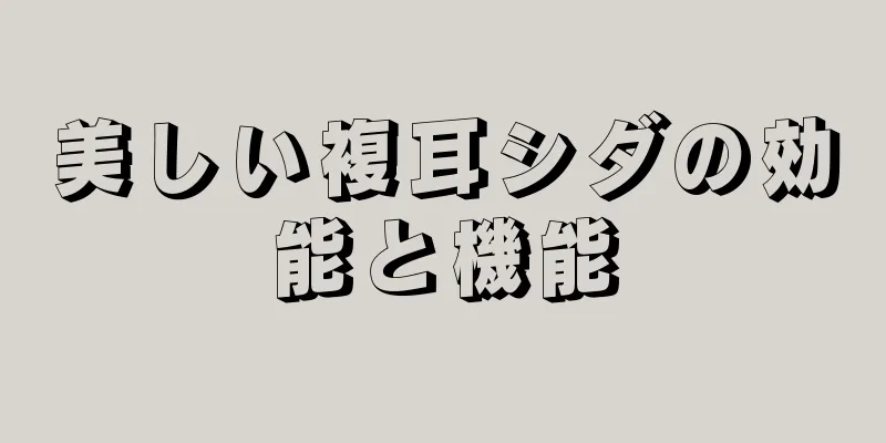 美しい複耳シダの効能と機能