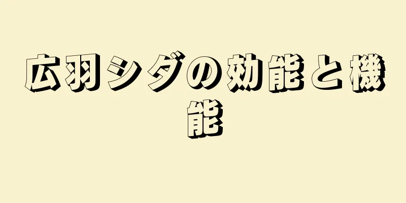 広羽シダの効能と機能