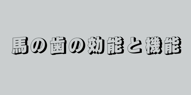 馬の歯の効能と機能