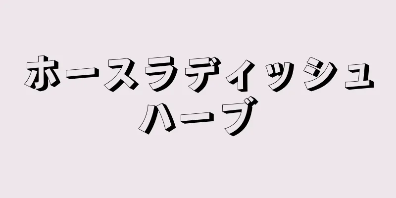 ホースラディッシュハーブ