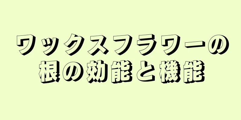 ワックスフラワーの根の効能と機能