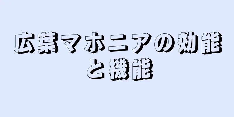 広葉マホニアの効能と機能