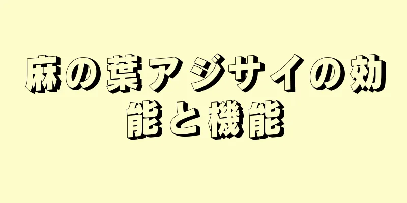 麻の葉アジサイの効能と機能