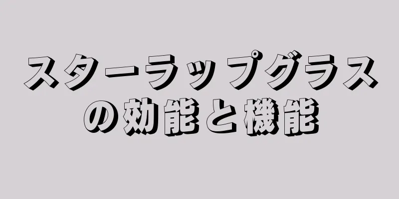 スターラップグラスの効能と機能