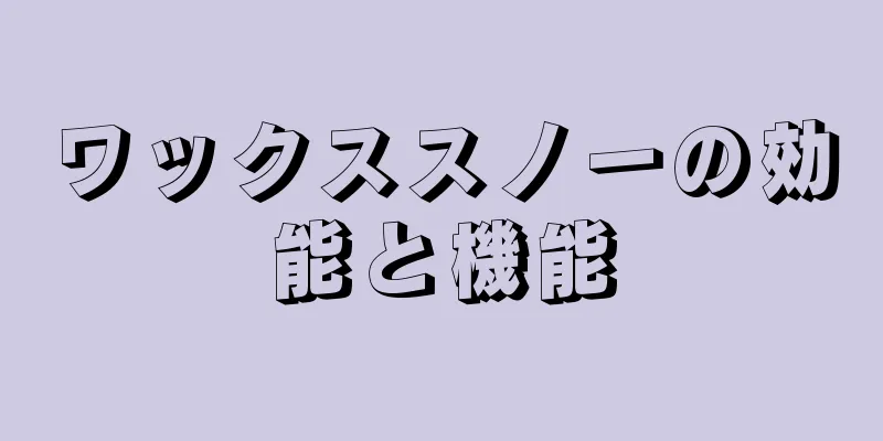 ワックススノーの効能と機能