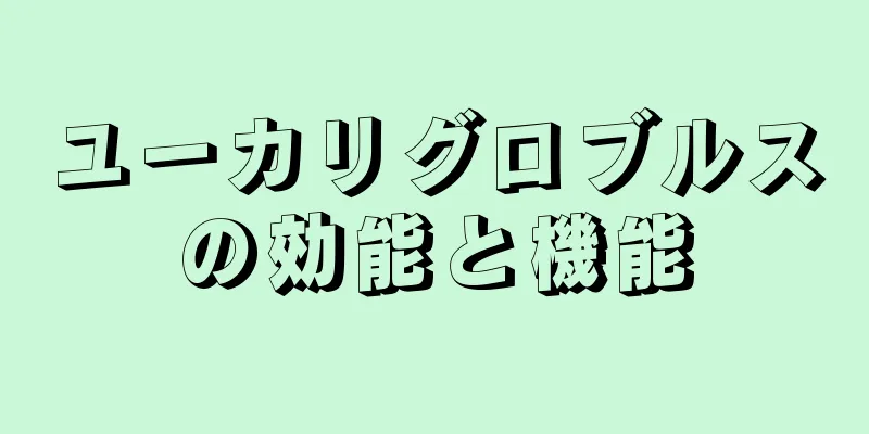 ユーカリグロブルスの効能と機能
